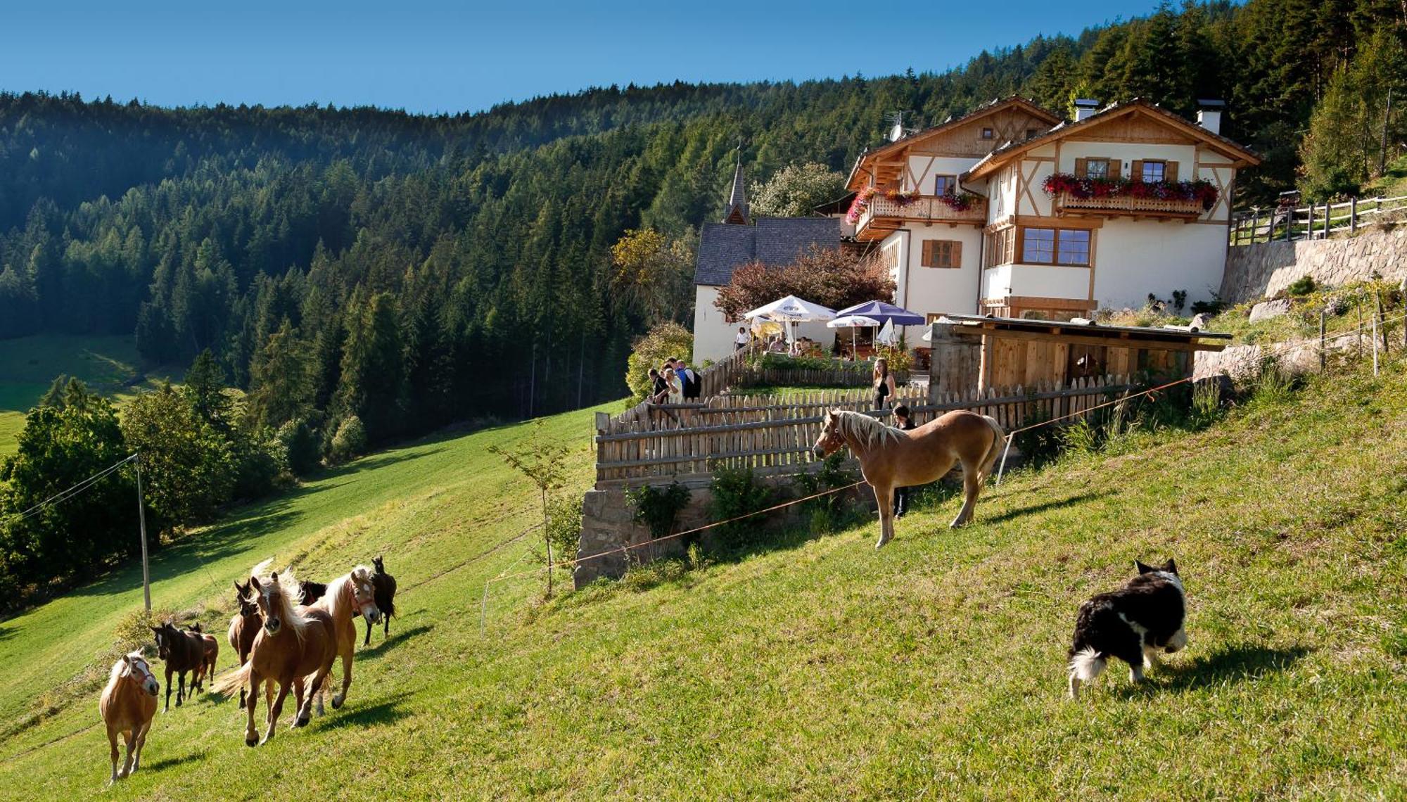 Gasthaus Bad Siess Longostagno Екстер'єр фото
